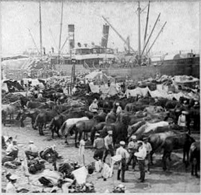 Foreign invasion force from the Eight Nations disembarks at the Port of Tang Ku, 1900